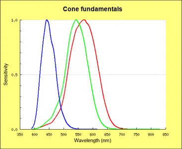 錐体細胞の波長特性