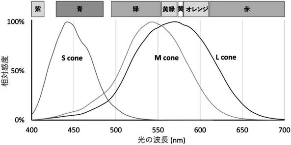 錐体細胞の波長特性